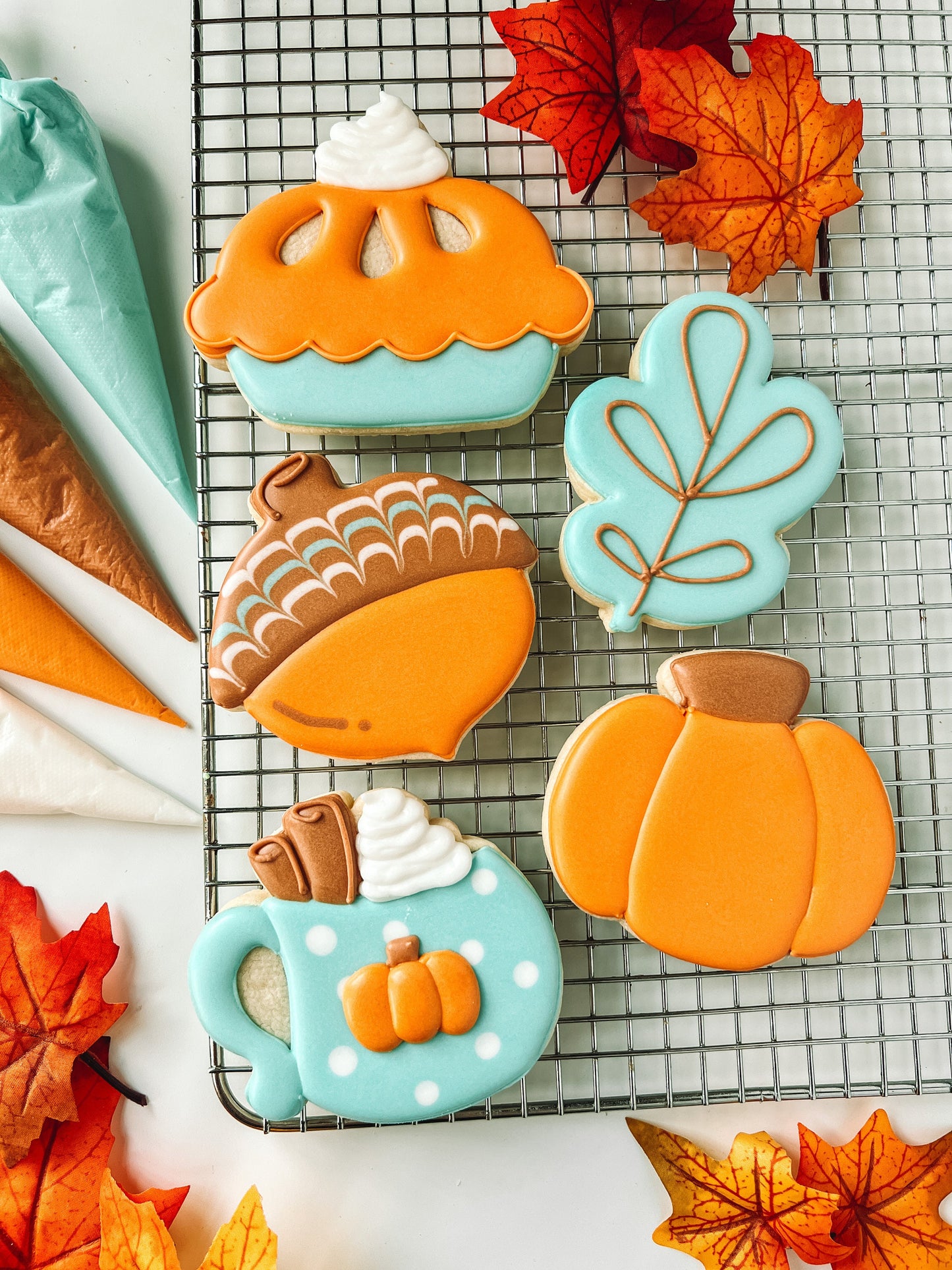 Fall Cookie Class (CC2C) Set of 5 Cookie Cutters