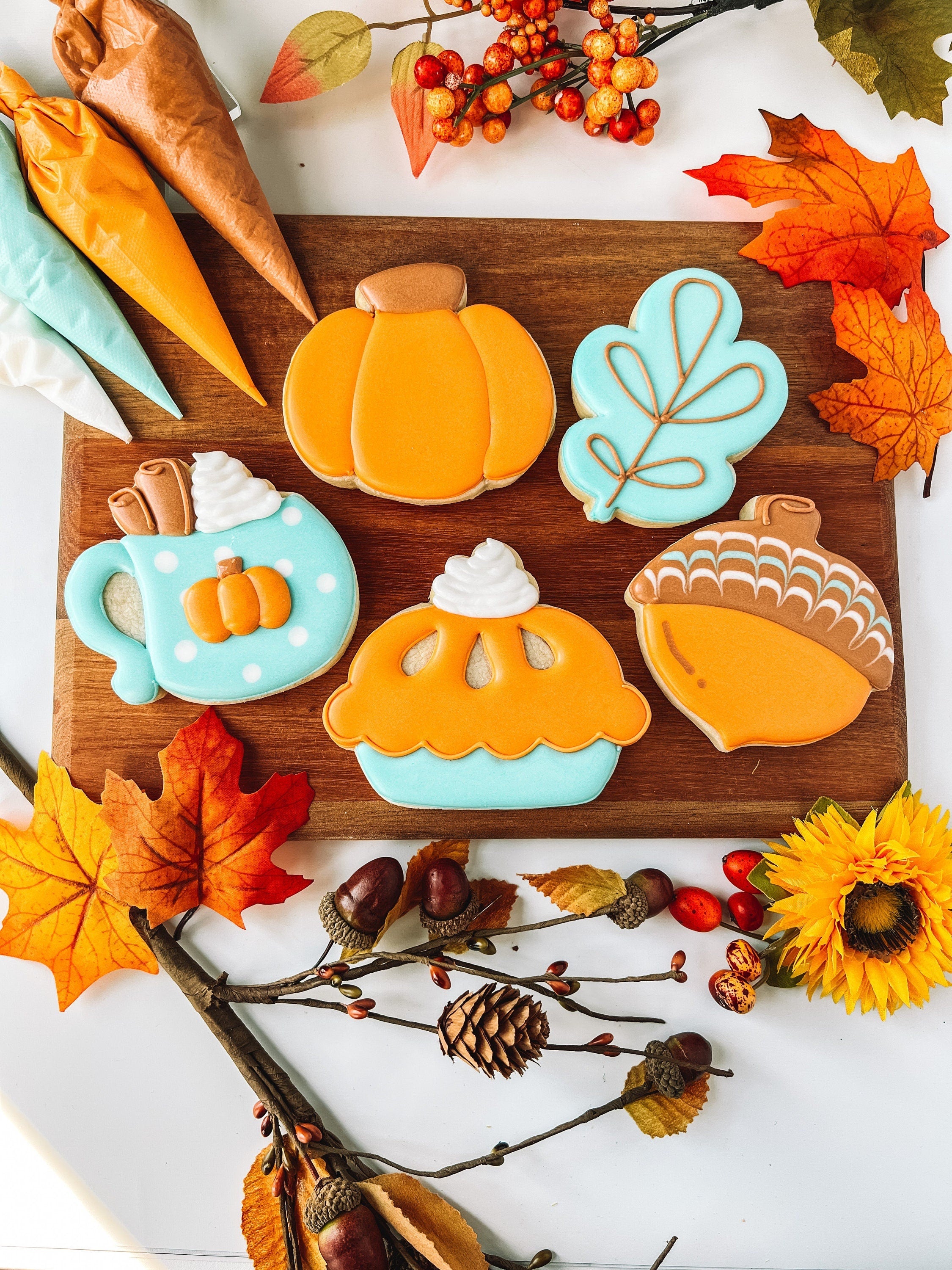Fall Cookie Class (CC2C) Set of 5 Cookie Cutters – KaleidaCuts