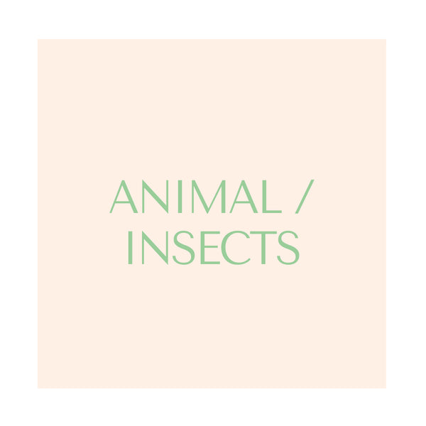 Animals / Insects