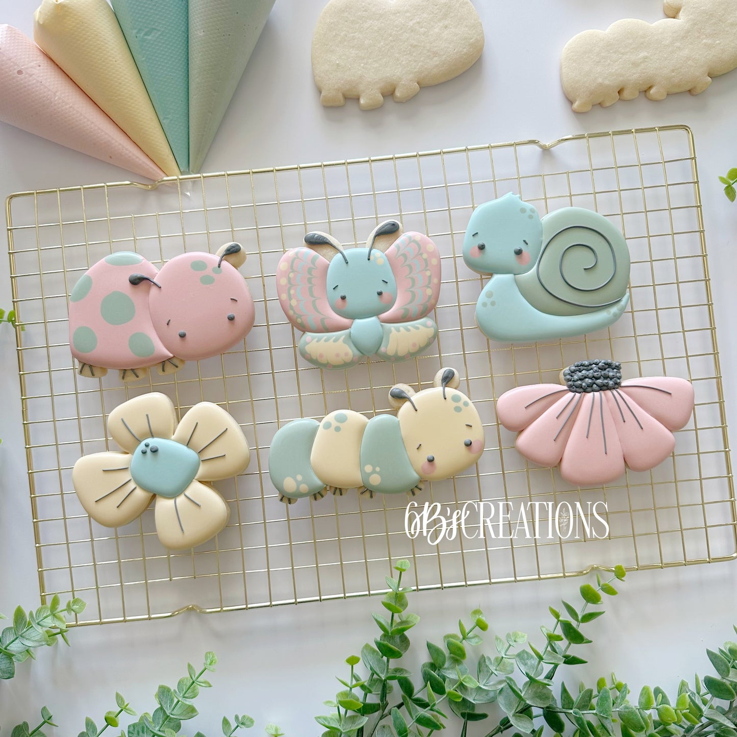 6 B's Creations (Teaching Partners) Blooms & Bugs 2026 Set of 6 Cookie Cutters