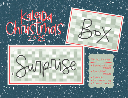 2025 Kaleida Christmas Surprise Box