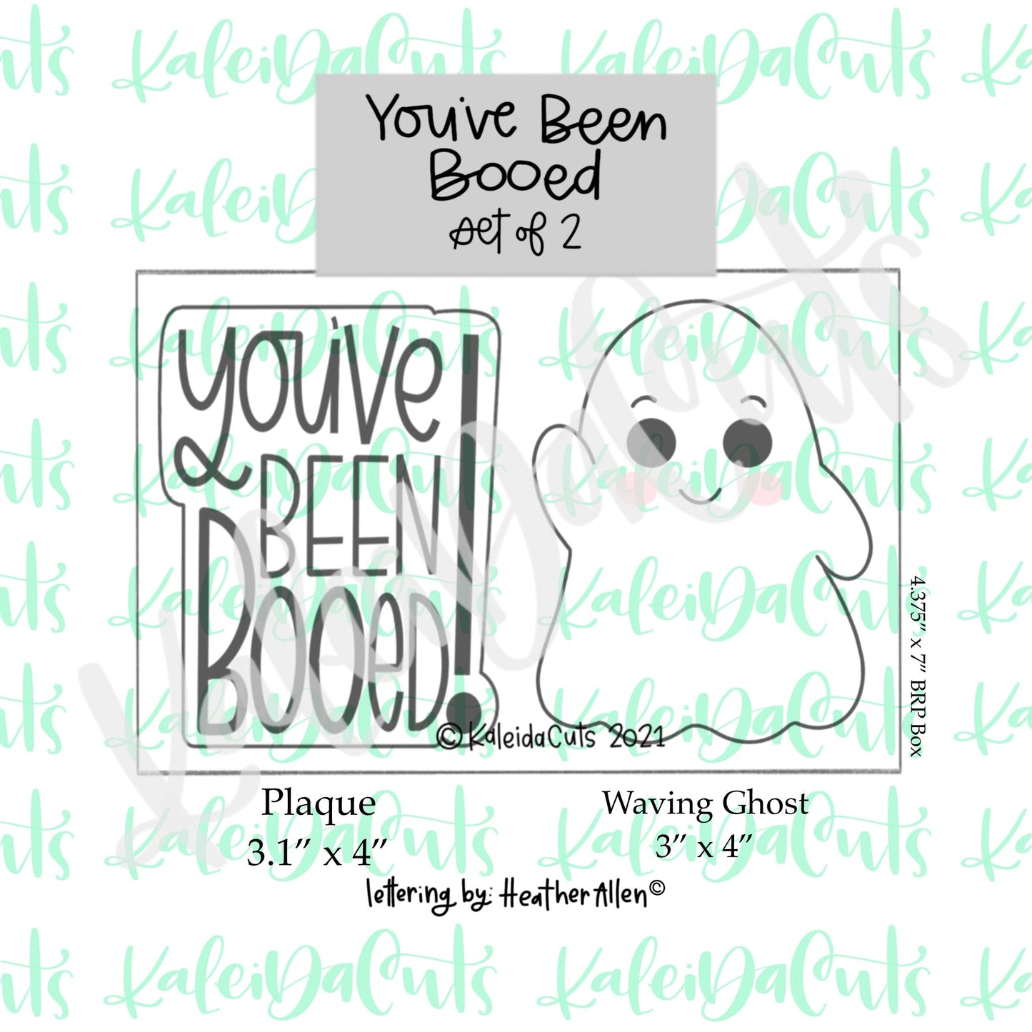 You've Been Booed Set of 2 Cookie Cutters